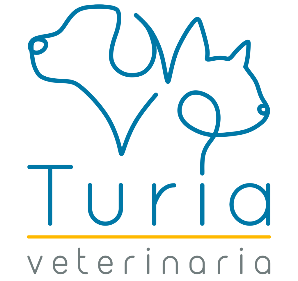 Centro veterinario en Teruel