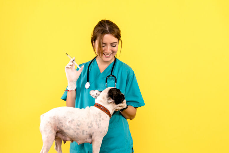 Vacunación en perros y gatos
